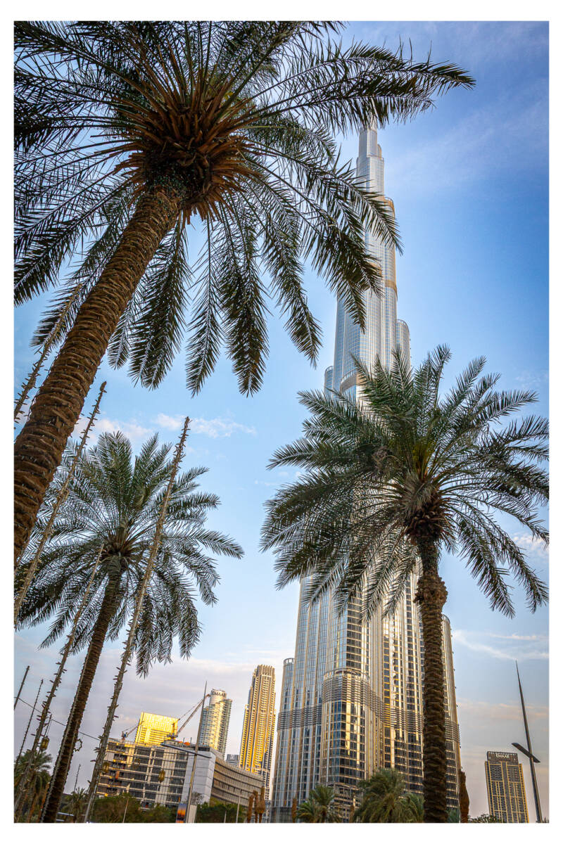 Burj Palm