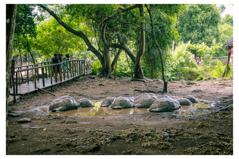 Endurance Becomes Freedom